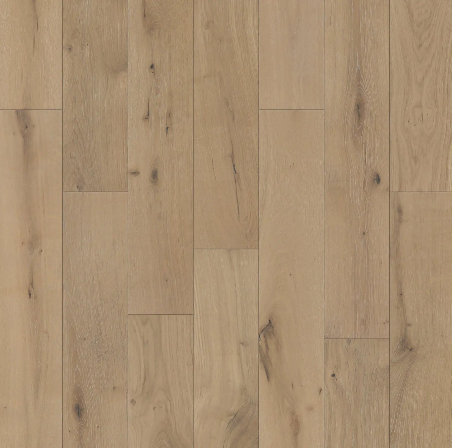 MSW66 Oak Iceberg 5/8 x 7-1/2" Wire Brushed Engineered- Call 844-356-6711 for BEST price! MW floors