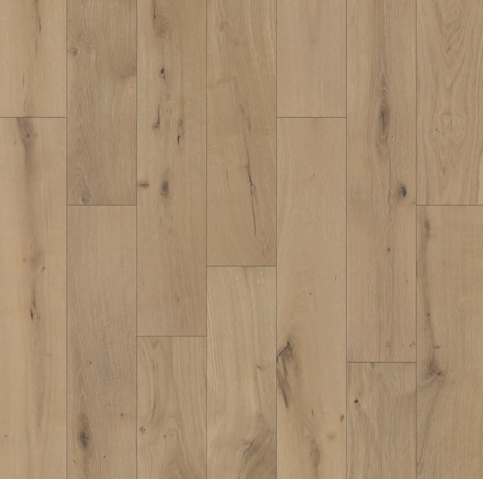 MSW72 Oak Grace Meadows 3/8 x 6-1/2" Wire Brushed Engineered- Call 844-356-6711 for BEST price! MW floors