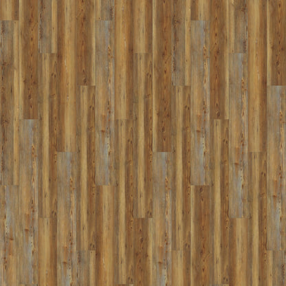 Appalachian Pine - 63 boxes of Basics left