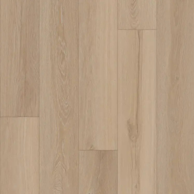 Mannington Restoration Everest Glacier Laminate Flooring 31102 (19.05 sf/ctn) Mannington