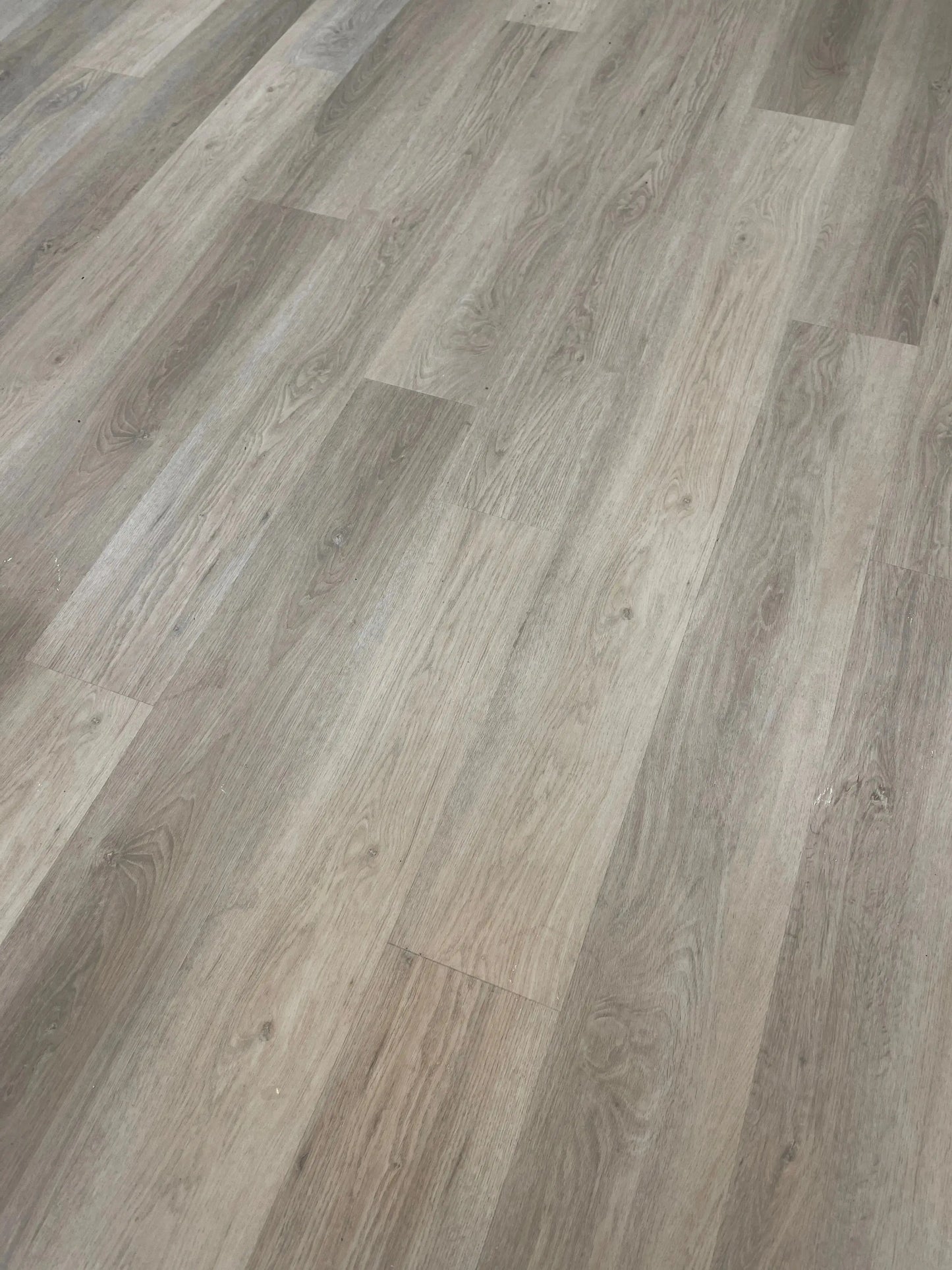 Oyster - 321 boxes left supercorefloors